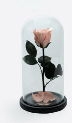 Aranjamente florale - Cupola cu trandafir criogenat pe pat de petale, corai