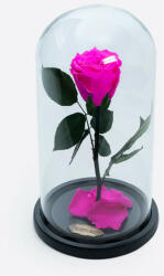 Aranjamente florale - Cupola cu trandafir criogenat pe pat de petale, fucsia