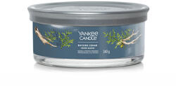 Yankee Candle Bayside Cedar signature tumbler 5 kanóccal 340 g