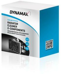 DYNAMAX Detergent cu 2 componente, pentru radiatoare