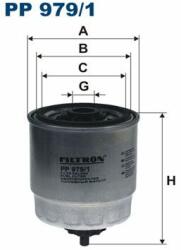 FILTRON filtru combustibil FILTRON PP 979/1 (PP 979/1) - automobilus