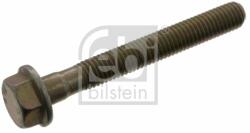 Febi Bilstein Surub FEBI BILSTEIN 47887 (47887)