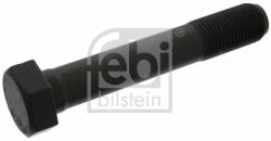 Febi Bilstein Surub volanta FEBI BILSTEIN 46337 (46337) - automobilus
