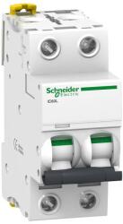 Schneider Electric ACTI9 iC60L kismegszakító 2P, C, 4A, monokonnekt A9F94204 (A9F94204)
