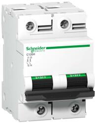 Schneider Electric ACTI9 C120H kismegszakító 2P, C, 100A A9N18458 (A9N18458)