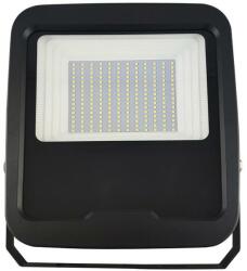 NEDES LED Reflektor PROFI LED/100W/180-265V 5000K IP65 ND3427 (ND3427)