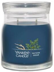 Yankee Candle Lumânare aromată, borcan Cedar, 2 fitile - Yankee Candle Bayside Cedar 368 g
