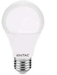 Entac E27 12W 1250lm 3000K Globe LED-izzó