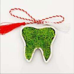 Gravolo Martisor Dinte Dentist Stomatolog accesorizat cu licheni verzi (C1012)