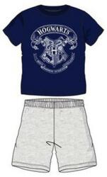 Jorg Harry Potter gyerek rövid pizsama szürke/kék 8év (85SEV2032B8)