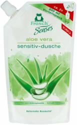 Frosch Aloe Vera 500 ml