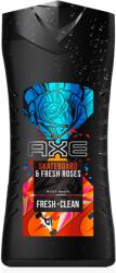 AXE Skateboard & Roses 250 ml