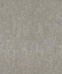  Természetes parafa minta aranyló selymes csillogás fényes ezüstszürke tapéta (538335)