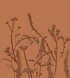  Casadeco Natura 83932485 PANORAMIQUE FIELD Natur Stilizált mezei virágok növények 3D teveszőrbarna barna bronz falpanel (83932485)
