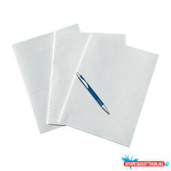 Bluering Rovatolt papír A3, 20ív/csomag, A4, méretre hajtva Bluering(R) franciakockás (ROVPAPFRKOC)