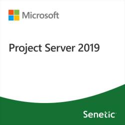 Microsoft Project Server 2019 (DG7GMGF0F4MH-0003)