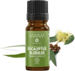 Elemental Eukaliptusz Globulus illóolaj, Ellemental 10ml