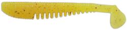 Hitfish Naluca HITFISH Ribby Shad 10cm, culoare R122, 5buc/plic (121101-R122)