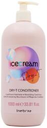 Inebrya Ice Cream Dry-T 1 l
