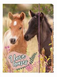 DERFORM I love horses lovas A/4 gumis mappa - Virágok között