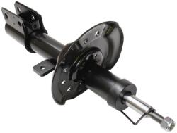 Asam Automotive amortizor ASAM AUTOMOTIVE 76089 (76089)