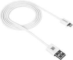 CANYON USB Male la Lightning Male, 1 m, White (CNE-CFI1W)