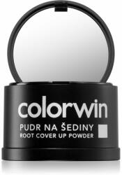 Colorwin Powder pudră pentru păr pentru volum și acoperirea firelor albe culoare Dark Brown 3, 2 g
