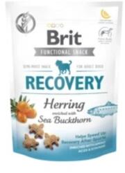 Brit Functional Snack RECOVERY 150 g 0.15 kg