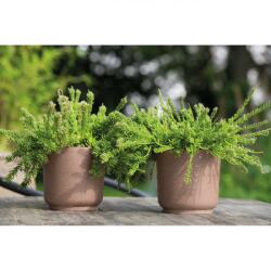 PLASTOR Ghiveci Satina Eco Wood (FP-4380-011)