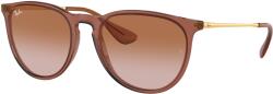 Ray-Ban Erika RB4171 659013