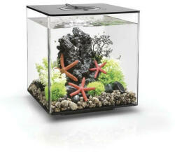 OASE biOrb Cube 30 (72017/8/9)