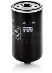 Mann-Filter Filtru Combustibil WK8030 pentru Hyundai (WK8030)