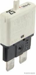 Herth+buss Elparts Automat siguranta HERTH+BUSS ELPARTS 50295905099 (50295905099)