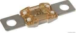 Herth+buss Elparts siguranta fuzibila HERTH+BUSS ELPARTS 50295872 (50295872) - automobilus