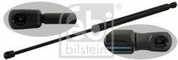 Febi Bilstein Amortizor portbagaj FEBI BILSTEIN 47086 (47086)