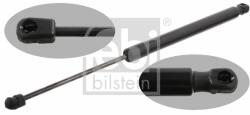 Febi Bilstein Amortizor portbagaj FEBI BILSTEIN 31831 (31831) - automobilus