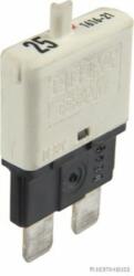 Herth+buss Elparts Automat siguranta HERTH+BUSS ELPARTS 50295905 (50295905)