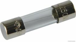 Herth+buss Elparts siguranta fuzibila HERTH+BUSS ELPARTS 50295053 (50295053)