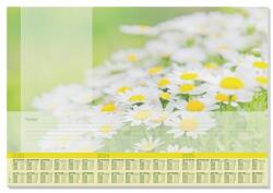 SIGEL Könyökalátét, 595x410 mm, 3 éves tervezõvel, SIGEL "Lovely Daisies (SIHO307) - tutitinta