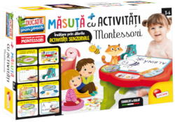 Lisciani Masuta cu activitati Montessori, in limba romana (RO76734) - educlass