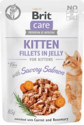 Brit Care Kitten Fillets in jelly salmon 24x85 g