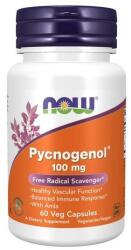 NOW Supliment alimentar Pycnogenol, 100 mg - Now Foods Pycnogenol 60 buc