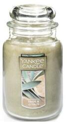 Yankee Candle Lumânare parfumată Salvie și citrice - Yankee Candle Sage & Citrus 623 g