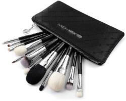 Eigshow Beauty Set pensule pentru machiaj, 12 buc - Eigshow Luxe Series Classic Makeup Brush Kit Bright Silver 12 buc