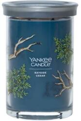 Yankee Candle Lumânare parfumată Cedru, 2 fitile - Yankee Candle Bayside Cedar Tumbler 567 g