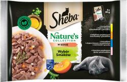 Sheba Nature’s Collection Hrana umeda pentru pisici adulte, cu pui, curcan, ton si somon in sos 13x(4x85g)