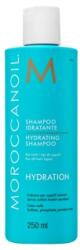 Moroccanoil Hydration Hydrating Shampoo șampon pentru păr uscat 250 ml