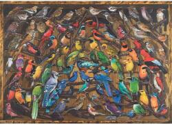 Ravensburger Puzzle Curcubeu De Pasari, 1000 Piese - RVSPA17478 (RVSPA17478) Puzzle