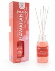  Odorizant de camera, cu betisoare de rattan, Basic, miros Hawaiian, 95ml (MGH-562842H)
