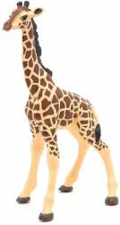 Papo Figurina Papo Wild Animal Kingdom - Pui de girafa (50100)